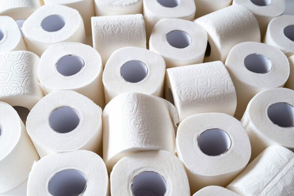 36 Mega Rolls ToGo HEB Toilet Paper